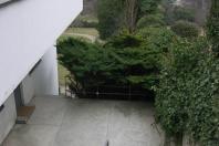 Mies van der Rohe
